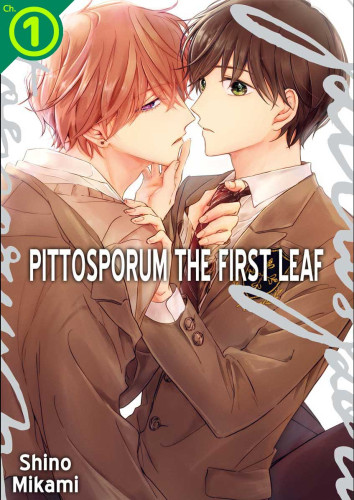 Pittosporum Ch.1