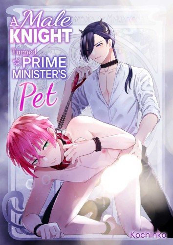 A Male Knight Turned into the Prime Minister's Pet