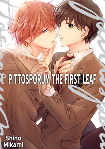 Pittosporum Ch.3(2)