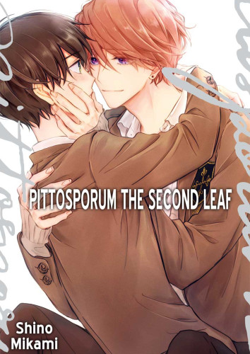 Pittosporum Ch.8(2)